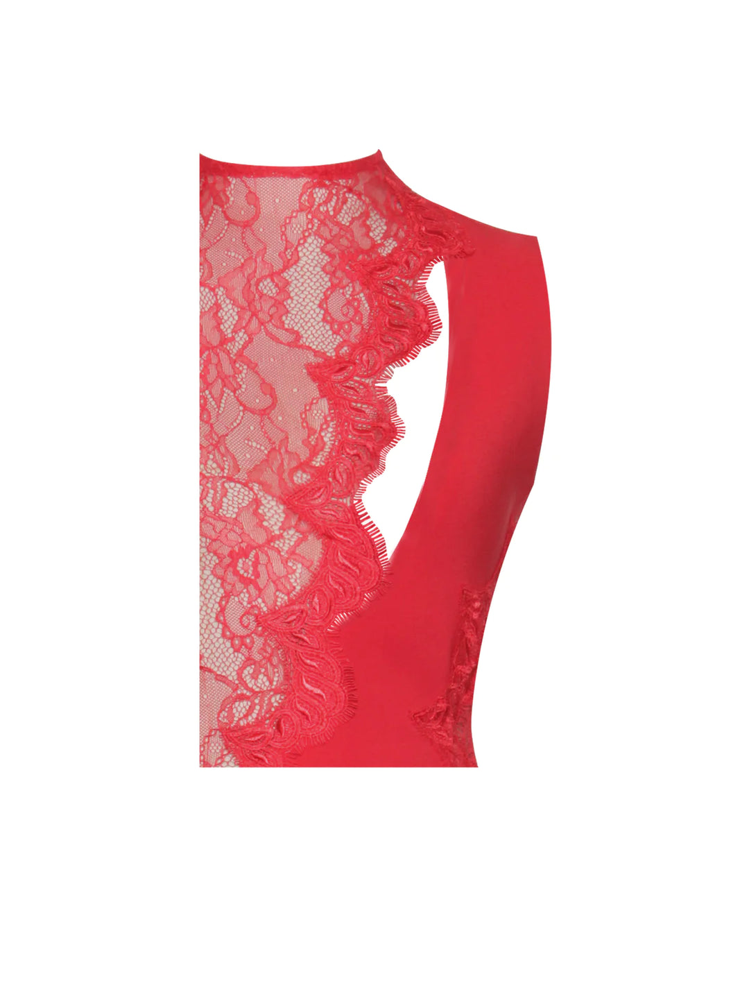 Xenia Red Lace Sleeve Mini Dress – THE DRESSING ROOM