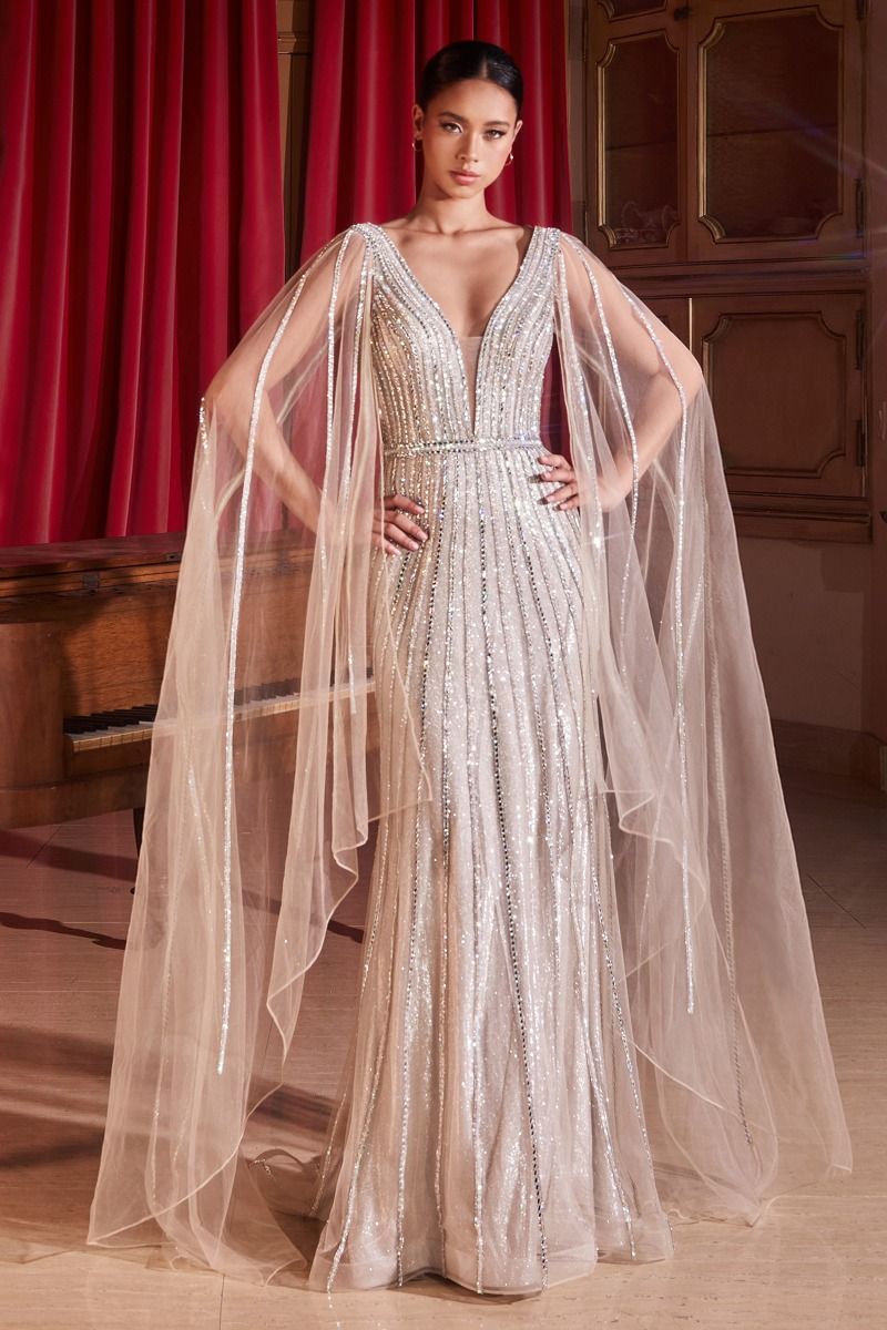 long sleeve celebrity dresses CD865