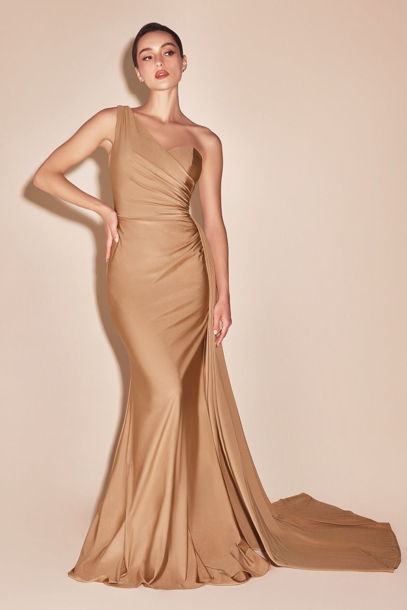 golden beige color dress BEIGE GOLD DRESS