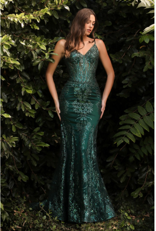 j810 prom dress J810 | MERMAID DRESS  Ladivine by Cinderella Divine